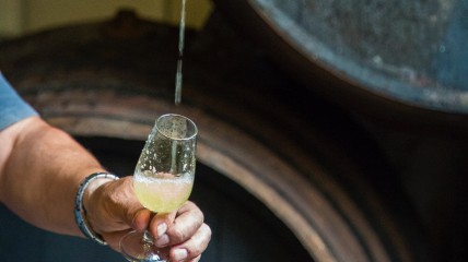 Sherry, de vergeten wijnschat van Spanje. Een vleugje geschiedenis, een wolkje poëzie en heerlijke proevertjes!